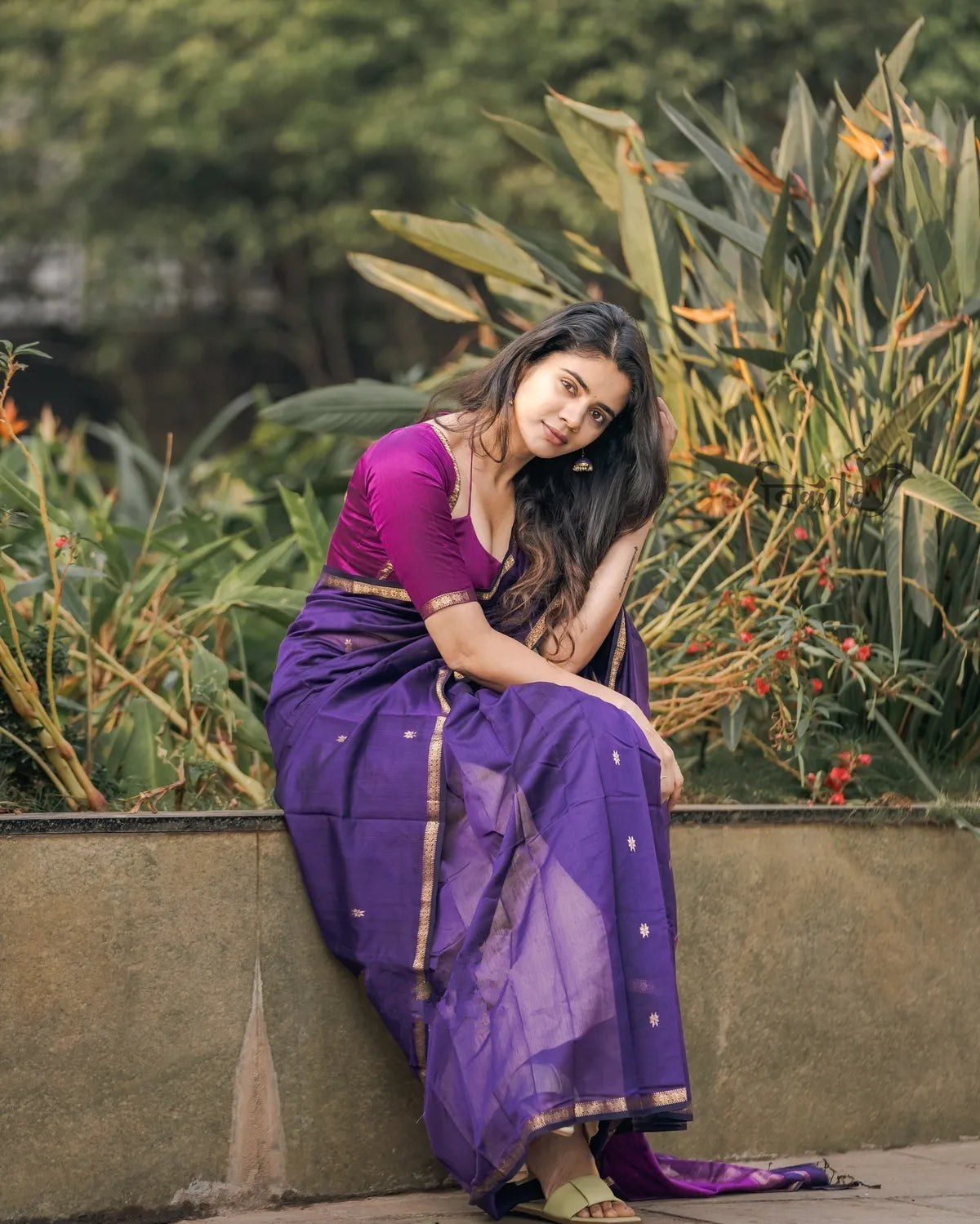 Maheshwari Silk Cotton Saree - Wine