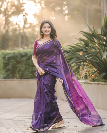 Maheshwari Silk Cotton Saree - Wine