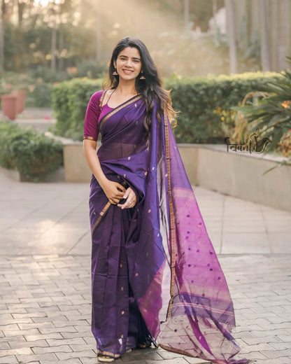 Maheshwari Silk Cotton Saree - Wine