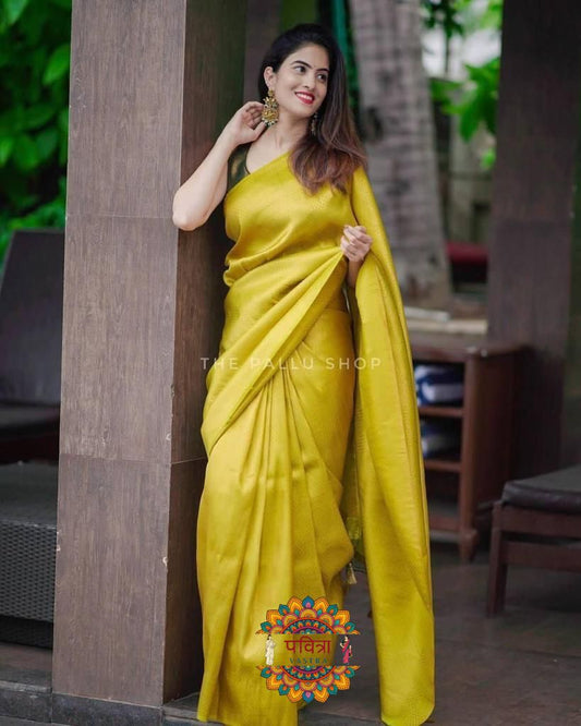 Women Banarasi Silk Saree with Contrast Border