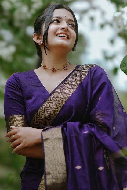 Maheshwari Silk Coton Saree - Wine