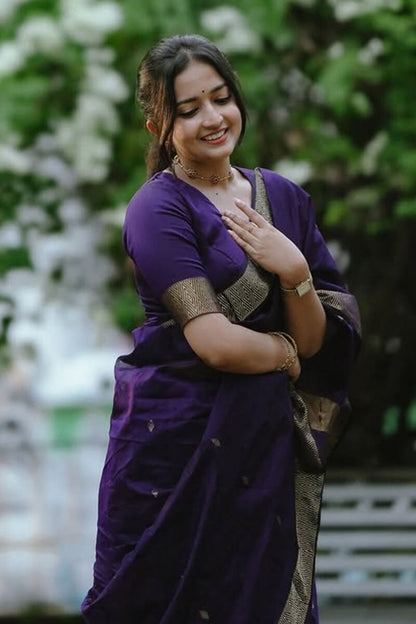 Maheshwari Silk Coton Saree - Wine