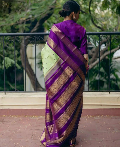 Women Woven Saree with Contrast Border
