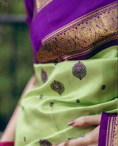 Women Woven Saree with Contrast Border